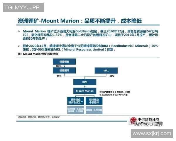 深圳排球队技术分析与战术创新的深度探讨与展望