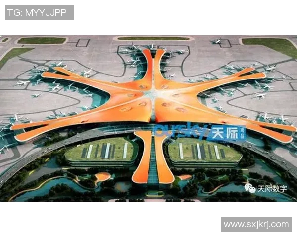 北京排球队的崛起之路：从默默无闻到城市联赛的璀璨明星