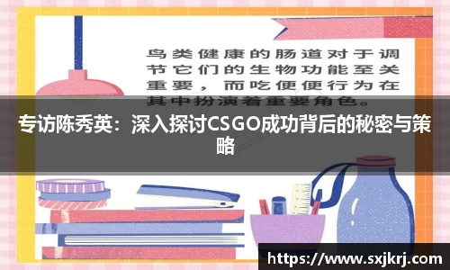 VSport胜利因您更精彩