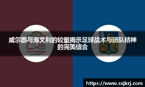 VSport胜利因您更精彩